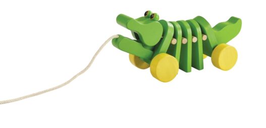 cose_per_dire_5105_Push & Pull_Dancing Alligator_PS